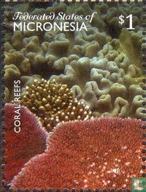 Corals