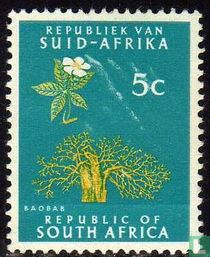 Baobab