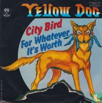 City Bird