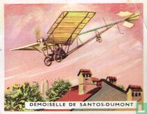 Demoiselle de Santos-Dumont
