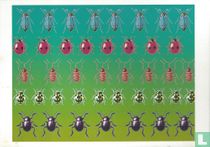 Solution met insekten