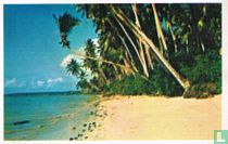 Polynesië 1