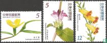 Plantes à fleurs