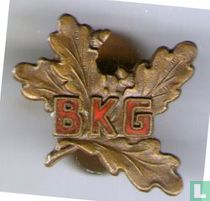 BKG 