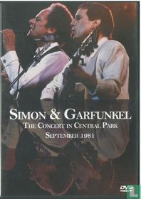 The Concert in Central Park