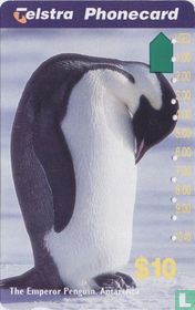 The Emperor Penguin
