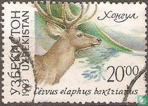 animaux
