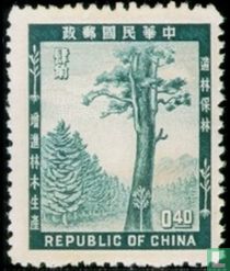 Reforestation