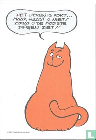 Het leven is kort