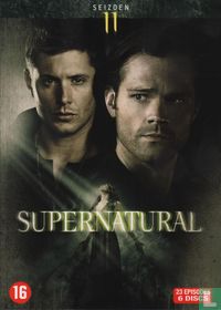 Supernatural: Seizoen 11