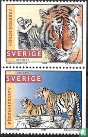 Jan Lindblad's Tigers