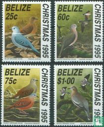 Pigeons