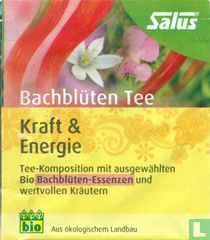 Kraft & Energie   
