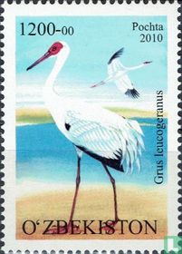 Oiseaux