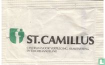 St. Camillus