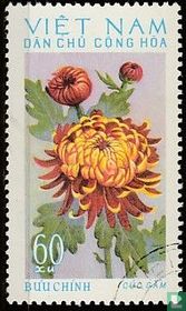 Chrysanthemums