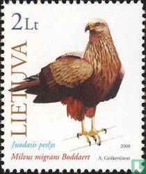 Bird Of prey