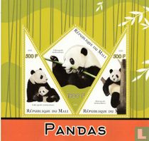 Giant Panda