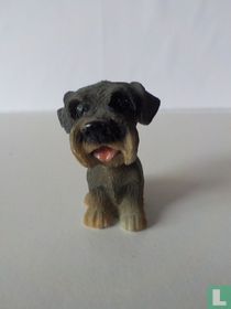 Chien