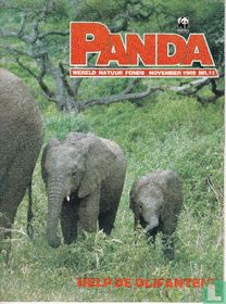 Panda 11