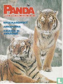 Panda 1