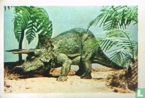 Triceratops