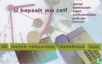 06 Voice response 