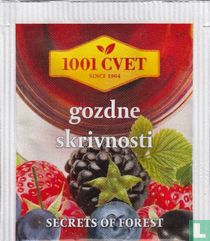 gozdne skrivnosti