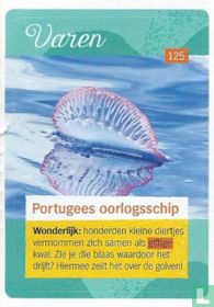 Portugees oorlogsschip 