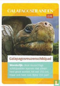 Galapagosreuzenschildpad 