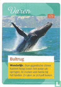 Bultrug