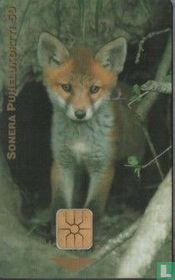 Fox ( Reprint )