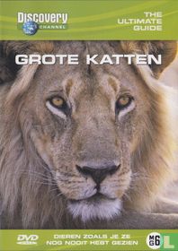 The ultimate Guide: Grote Katten