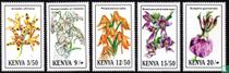 Orchidées