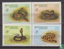 Snakes