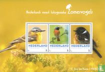Oiseaux d’été néerlandaise plus photogéniques