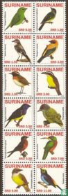 Oiseaux