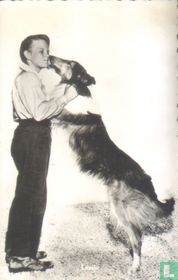 Lassie en Jeff kaufen