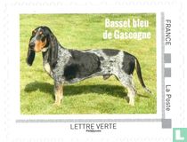 Chiens