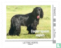 Chiens