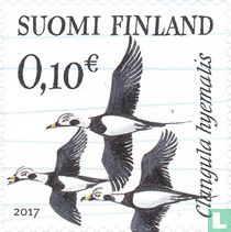 Les oiseaux migrateurs