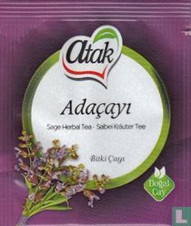 Adaçayi