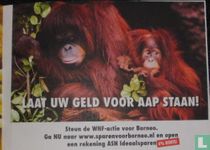 Laat u geld voor aap staan