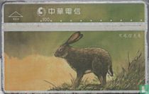 Hare