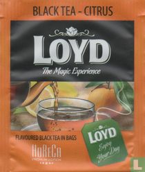 Loyd sachets de thé catalogue