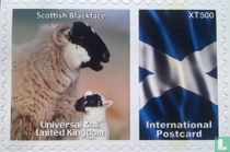 international postcard