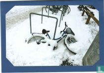 Fahrrad