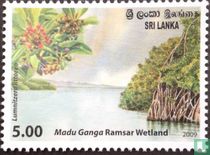 Madu Ganga Ramsar des zones humides