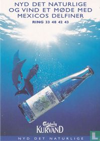 03456 - Carlsberg Kurvand