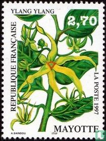 Ylang-Ylang